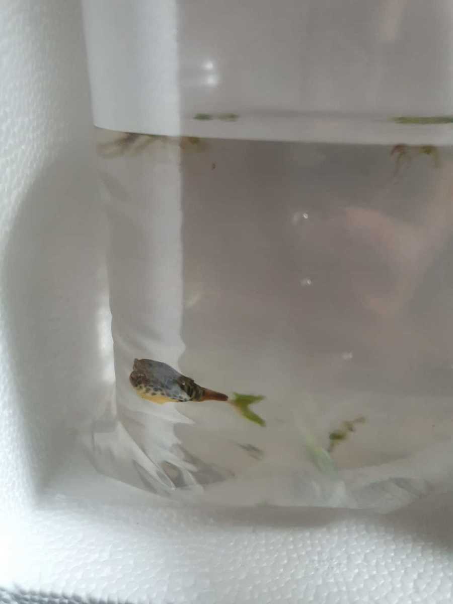 WhatsApp Image 2021-07-23 at 14.59.44.jpeg