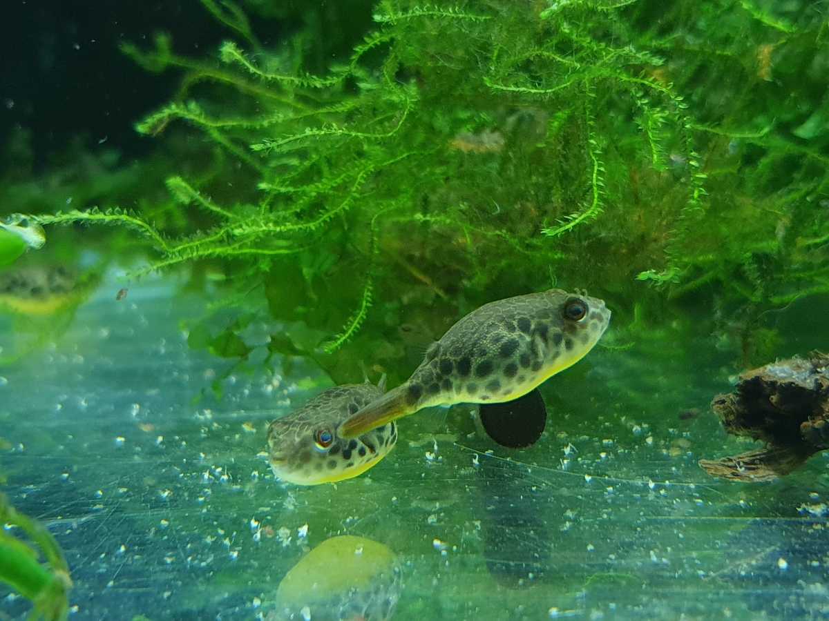 WhatsApp Image 2021-07-23 at 15.11.36.jpeg