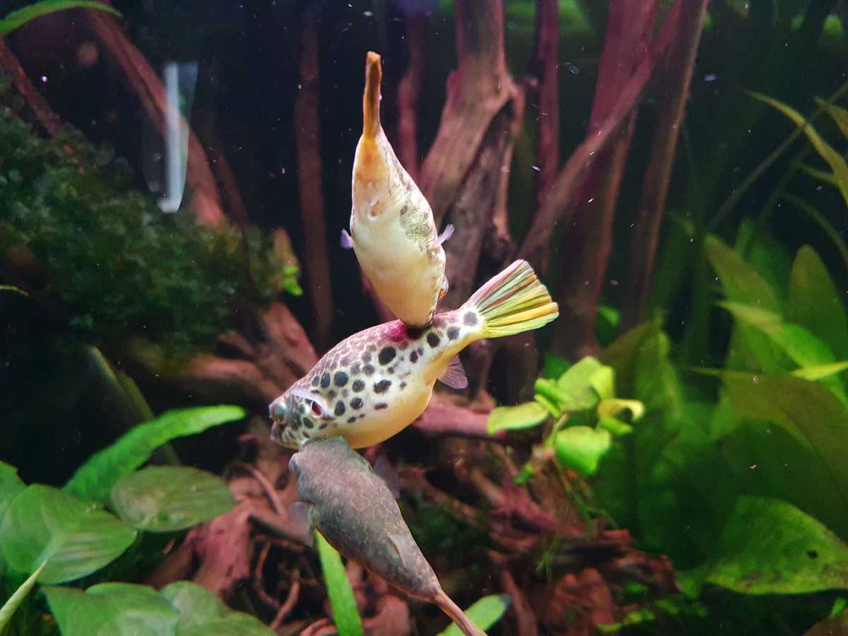 WhatsApp Image 2021-07-24 at 18.21.38.jpeg