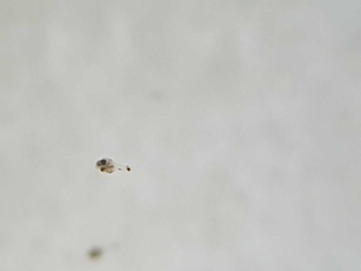 WhatsApp Image 2021-08-04 at 16.12.02.jpeg