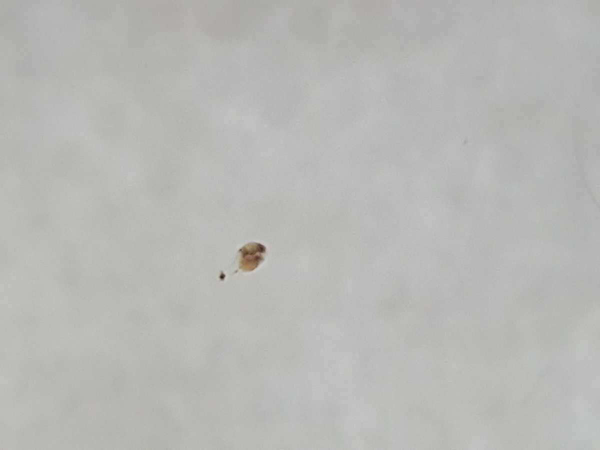 WhatsApp Image 2021-08-08 at 14.20.33.jpeg