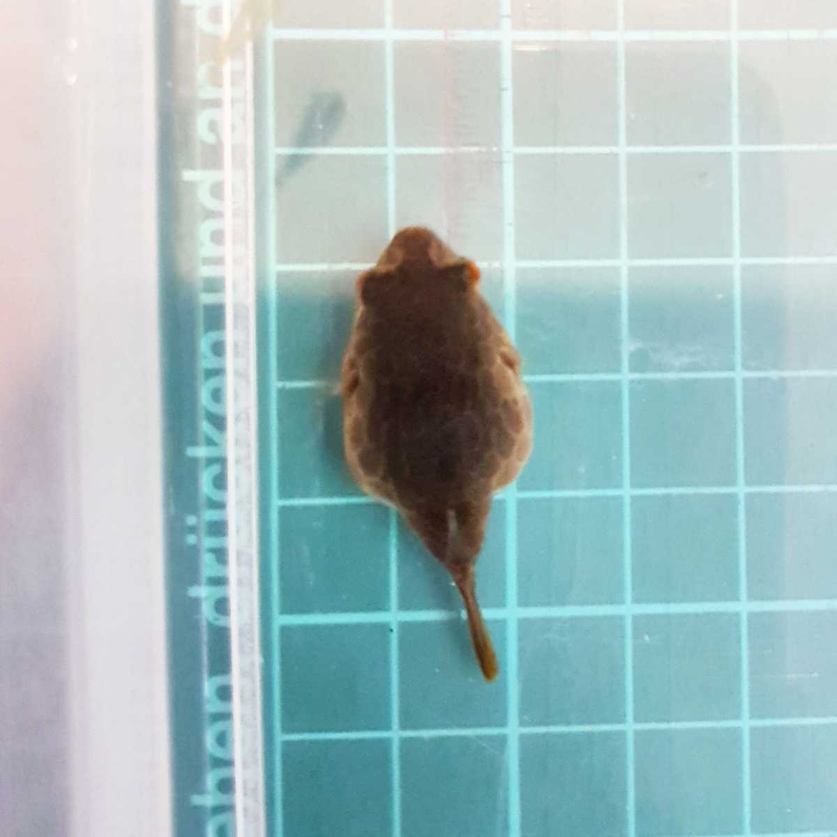 WhatsApp Image 2021-08-09 at 19.13.04.jpeg