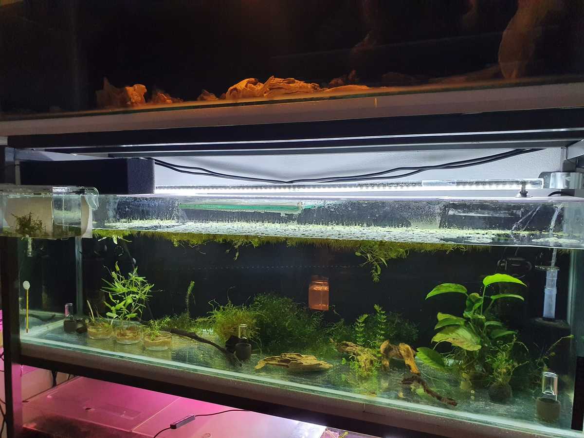 WhatsApp Image 2021-08-11 at 19.32.25.jpeg