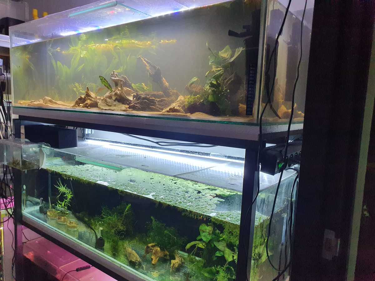 WhatsApp Image 2021-08-14 at 16.07.36.jpeg