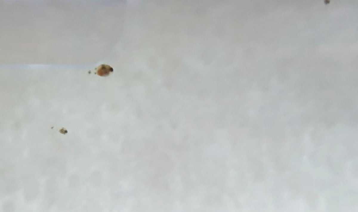 WhatsApp Image 2021-08-14 at 19.08.34.jpeg