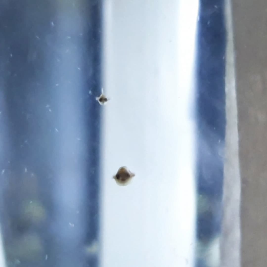 WhatsApp Image 2021-08-14 at 19.09.08.jpeg