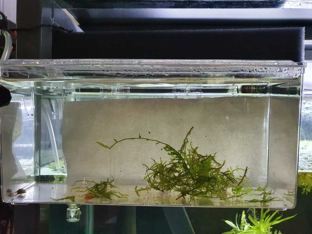 WhatsApp Image 2021-08-16 at 08.23.53.jpeg