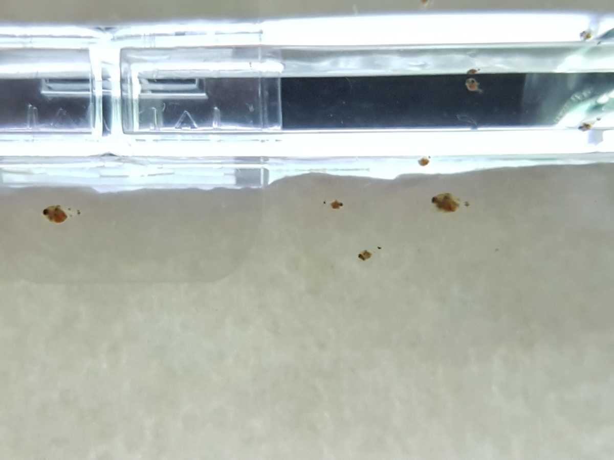 WhatsApp Image 2021-08-16 at 19.34.33.jpeg