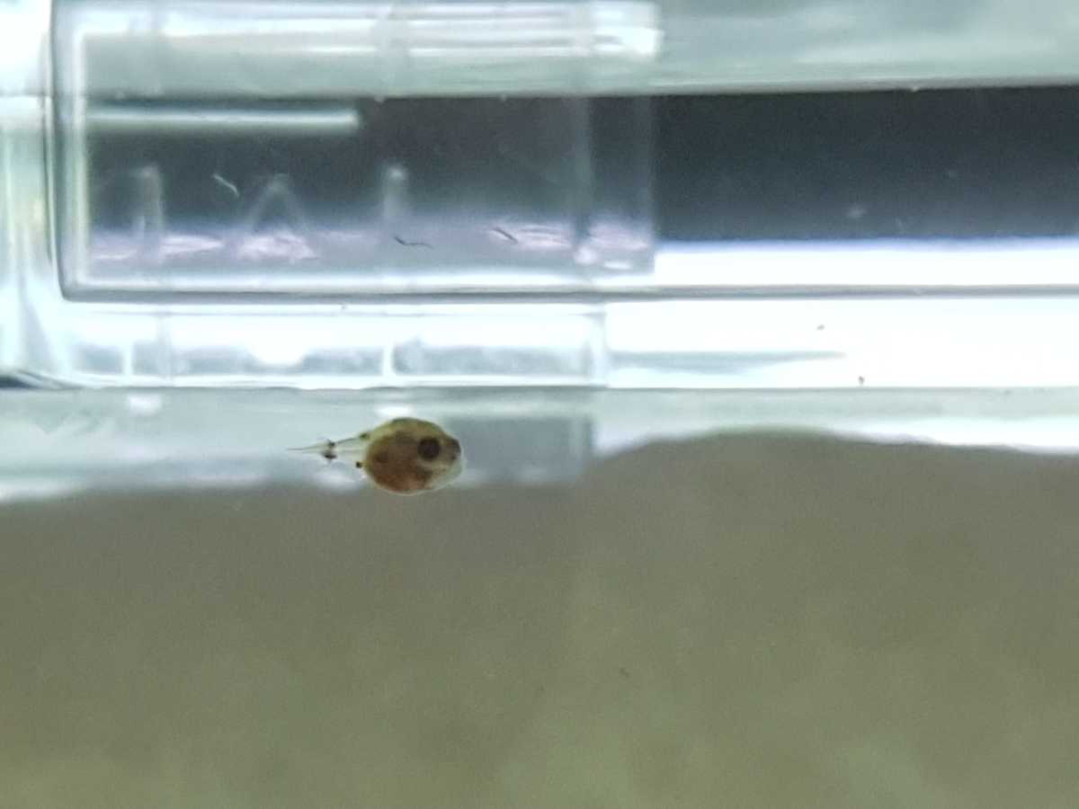 WhatsApp Image 2021-08-16 at 19.35.17.jpeg