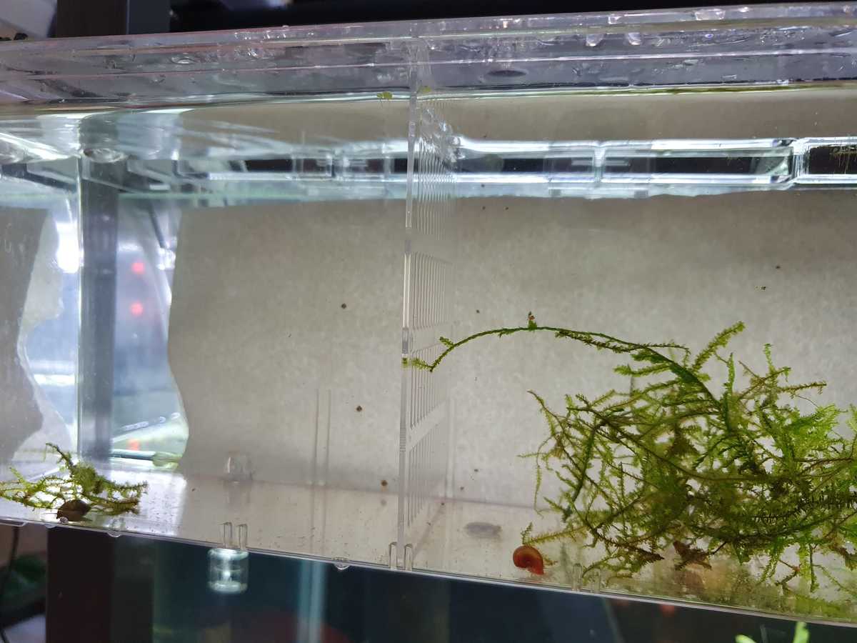 WhatsApp Image 2021-08-17 at 12.58.17.jpeg