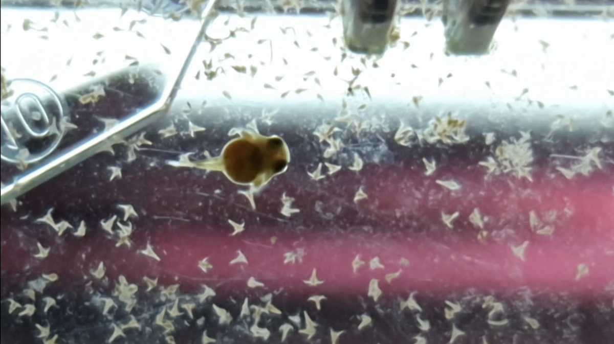 WhatsApp Image 2021-08-17 at 17.45.39.jpeg