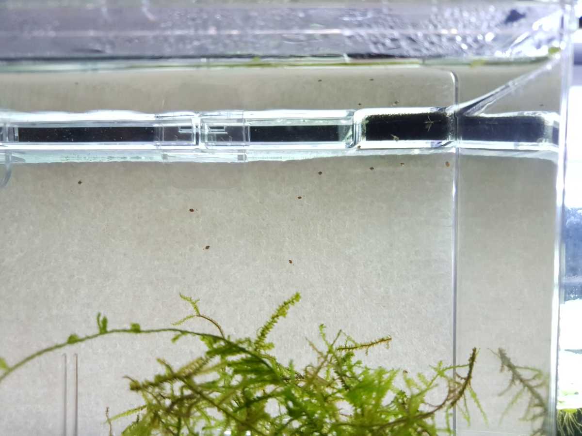 WhatsApp Image 2021-08-19 at 19.46.43.jpeg