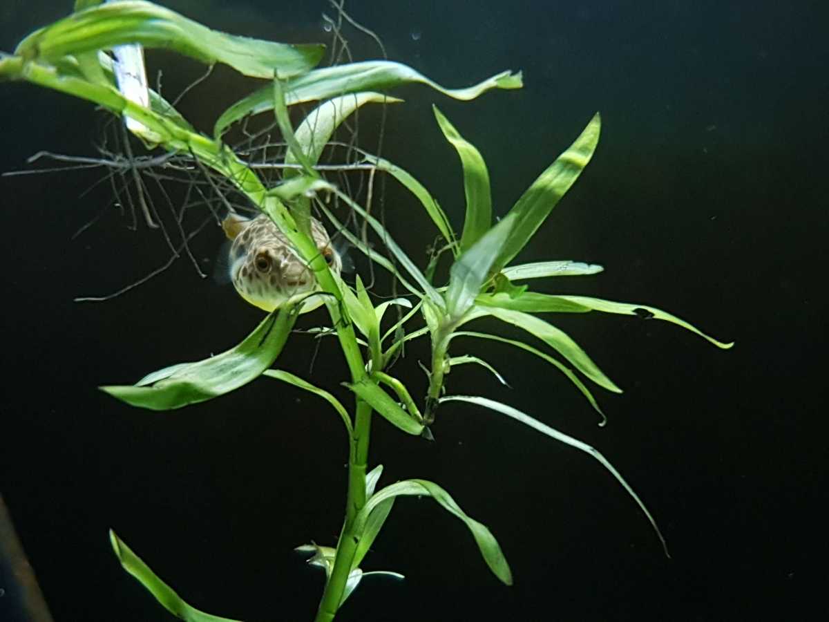 WhatsApp Image 2021-08-20 at 21.31.30.jpeg