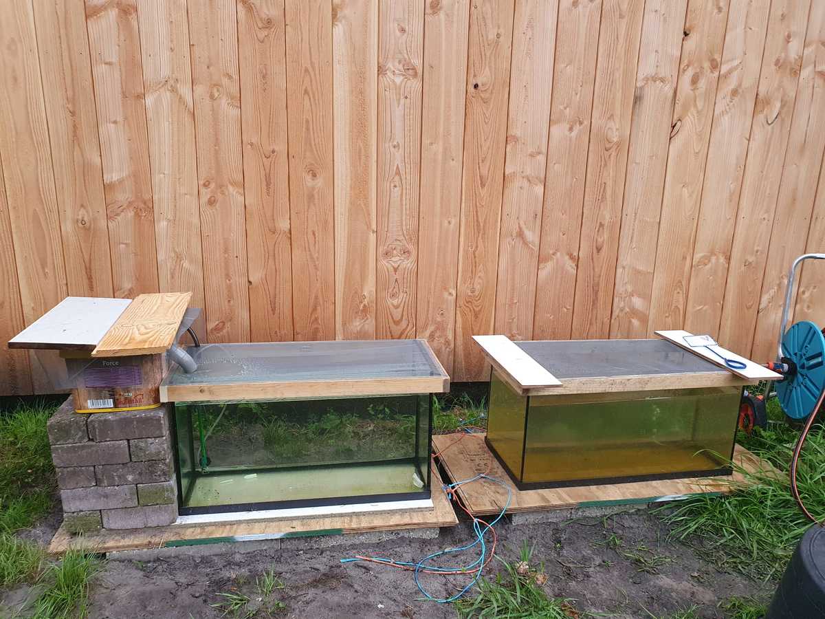 WhatsApp Image 2021-09-01 at 08.19.54.jpeg