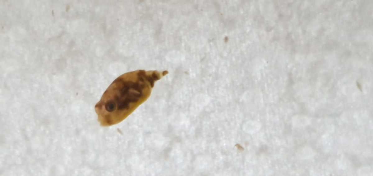 WhatsApp Image 2021-09-13 at 18.01.13.jpeg