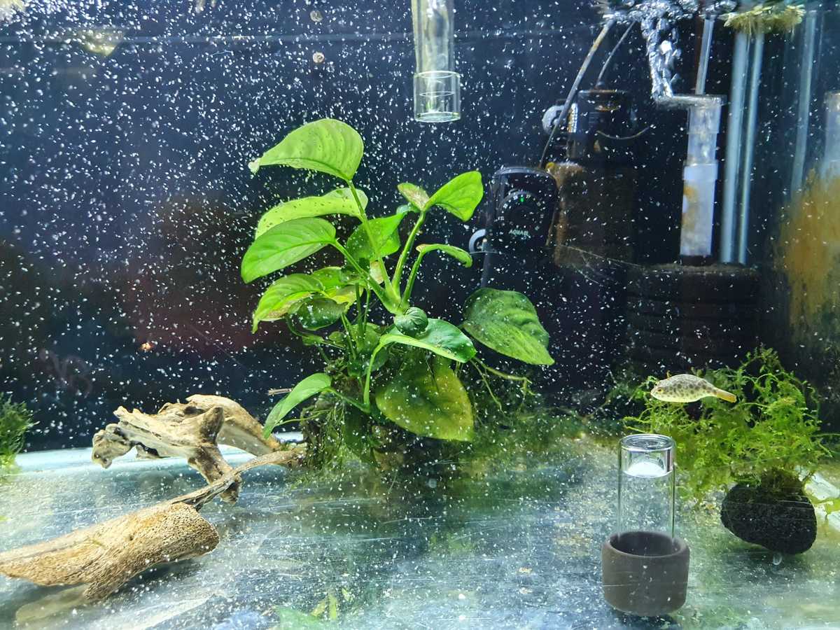 WhatsApp Image 2021-09-16 at 10.15.27.jpeg