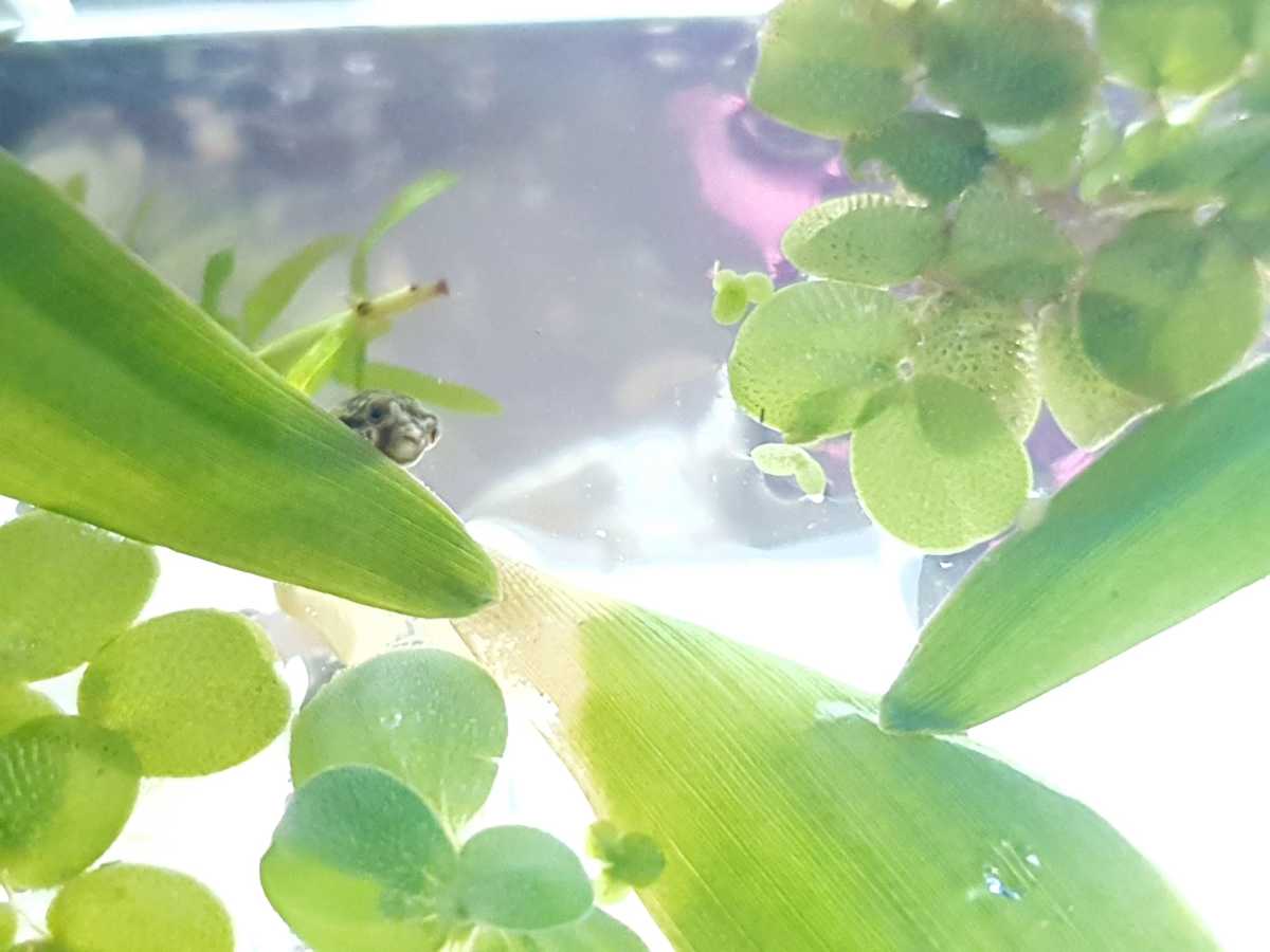 WhatsApp Image 2021-10-02 at 07.40.46.jpeg