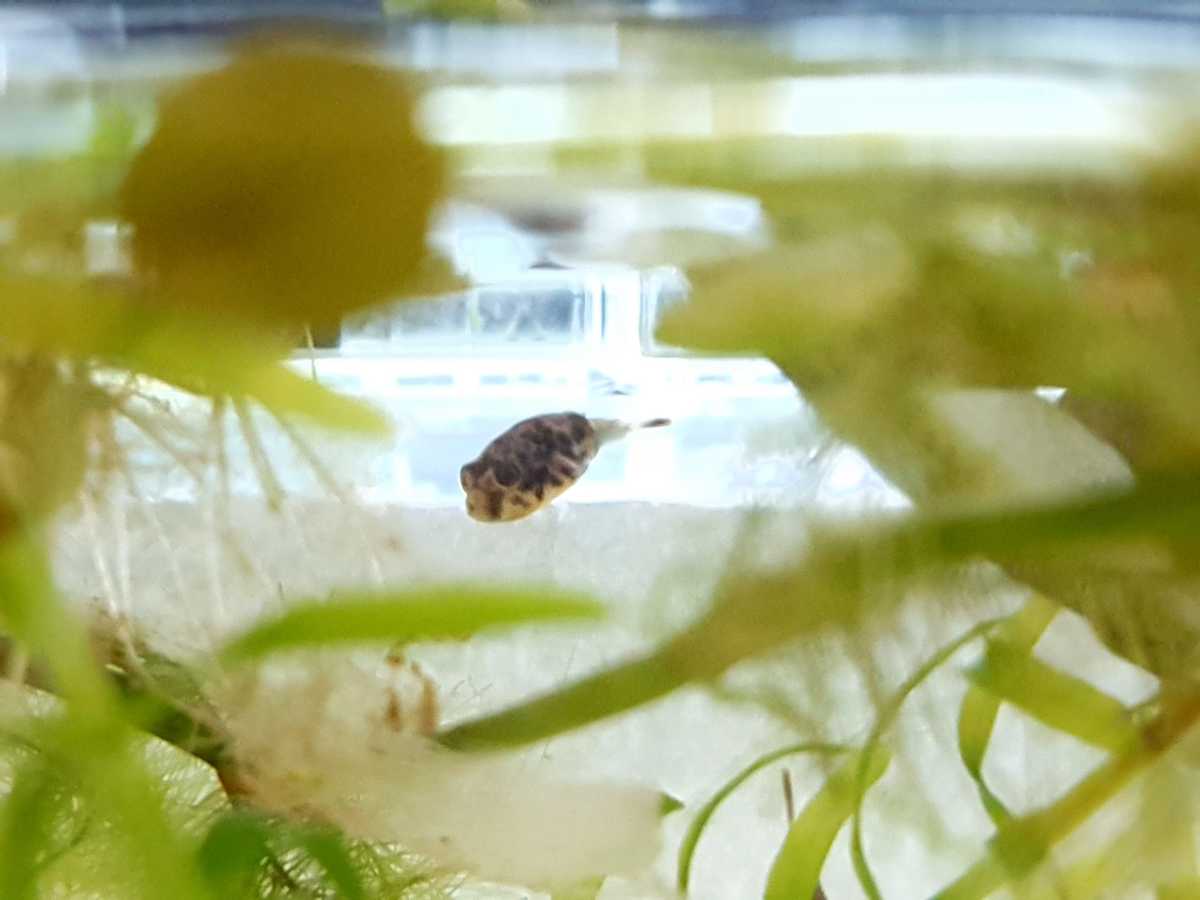 WhatsApp Image 2021-10-02 at 08.02.54.jpeg