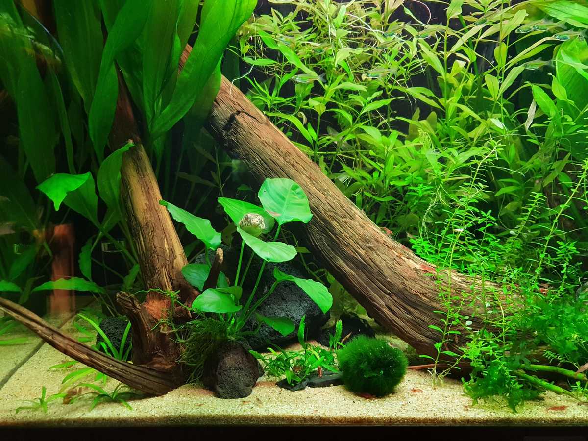 WhatsApp Image 2021-10-03 at 18.41.39.jpeg