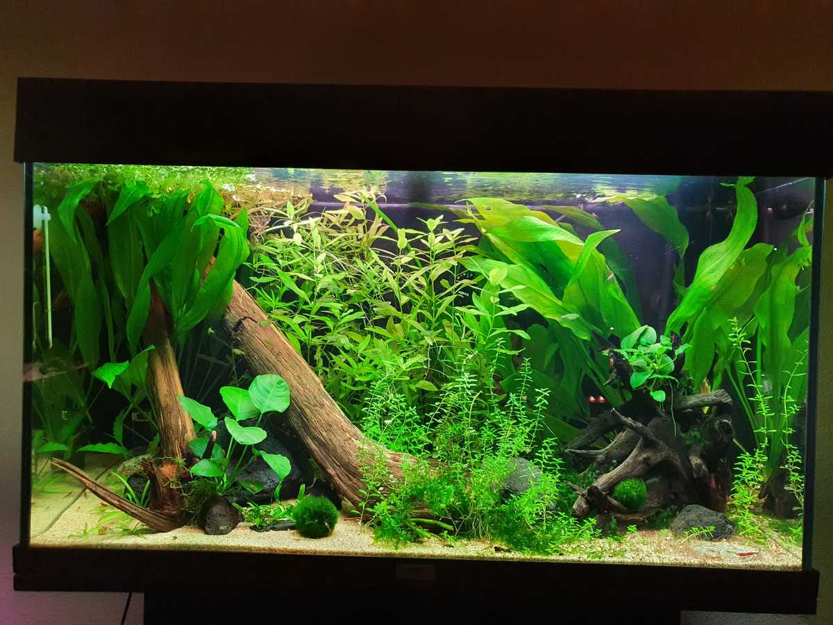 WhatsApp Image 2021-10-03 at 19.48.37.jpeg