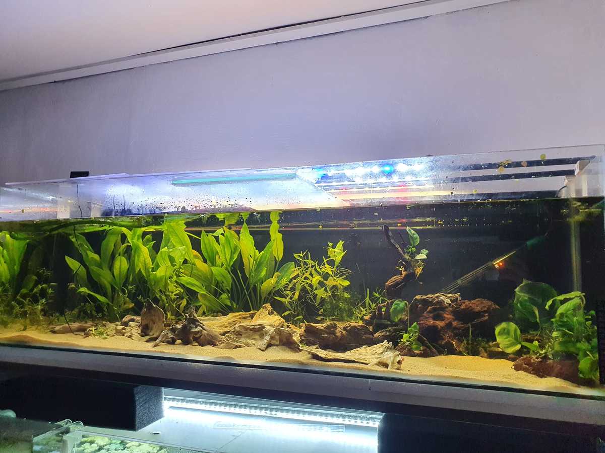 WhatsApp Image 2021-10-04 at 16.52.40.jpeg