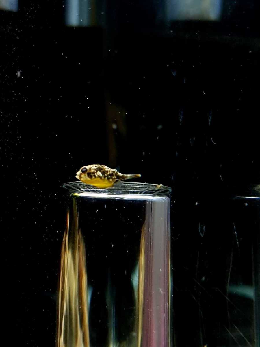 WhatsApp Image 2021-10-10 at 18.36.41.jpeg