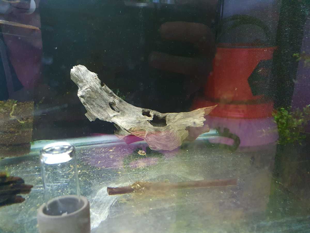 WhatsApp Image 2021-10-15 at 16.16.52.jpeg