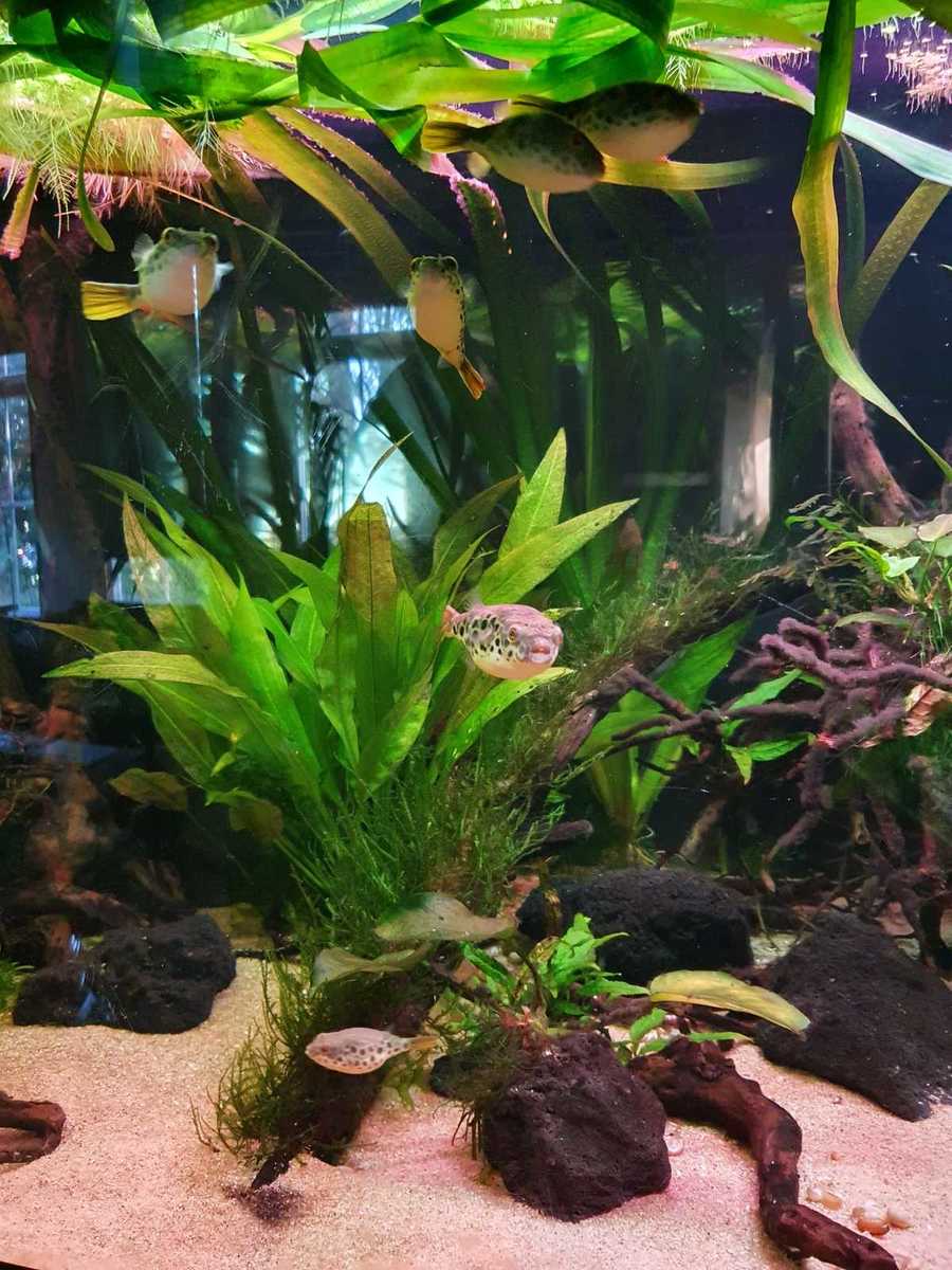 WhatsApp Image 2021-10-24 at 15.28.39.jpeg