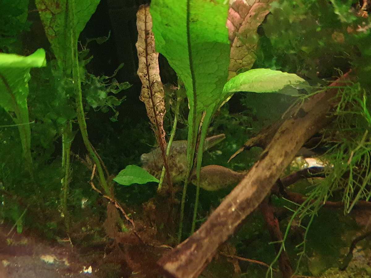 WhatsApp Image 2021-10-24 at 15.28.52.jpeg