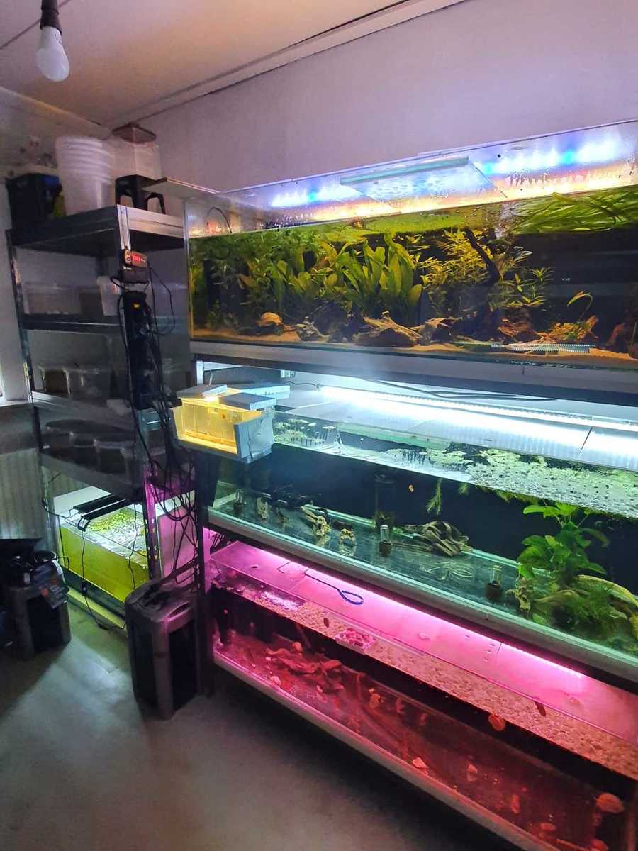 WhatsApp Image 2021-10-31 at 16.31.06.jpeg