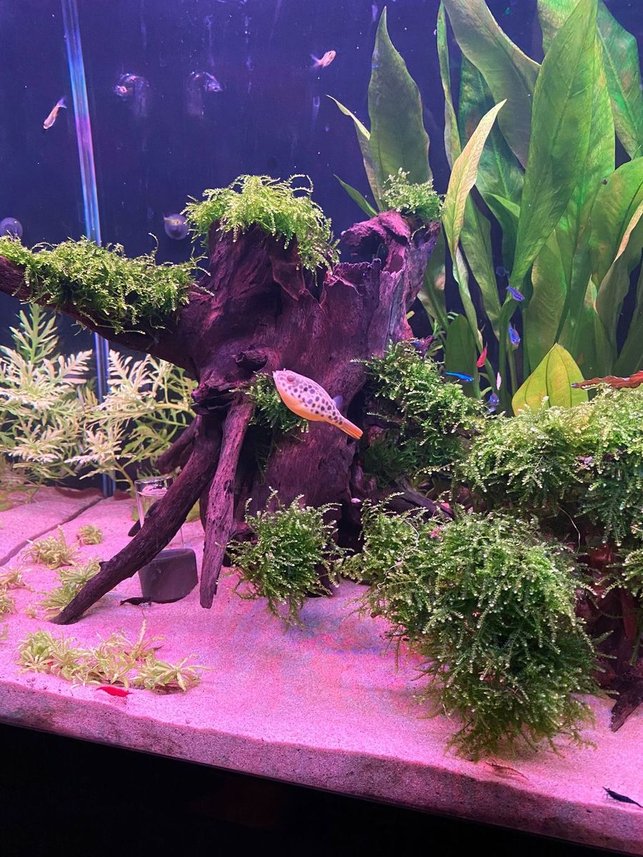 WhatsApp Image 2021-10-31 at 19.44.59.jpeg