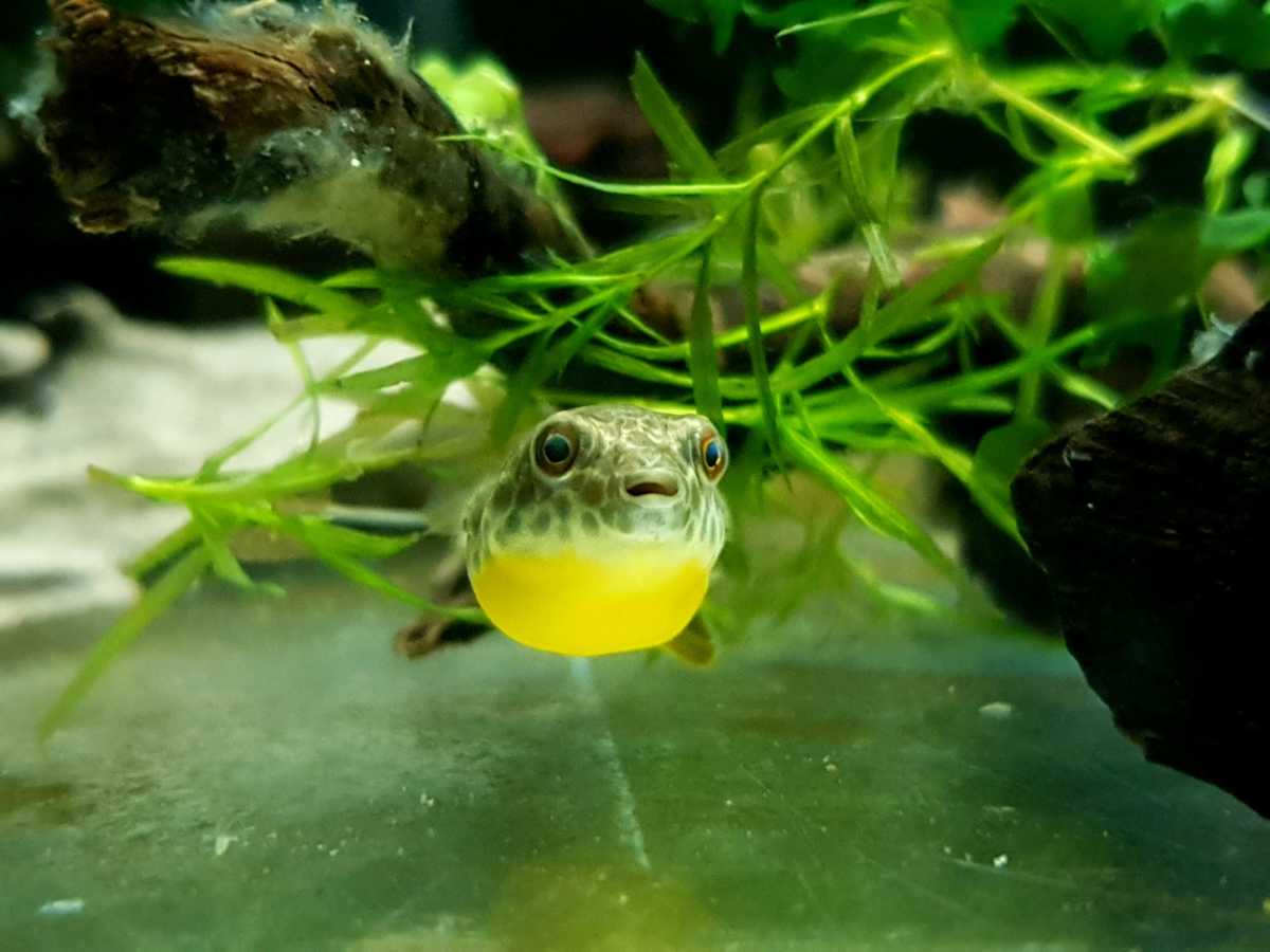 WhatsApp Image 2021-12-01 at 08.21.13.jpeg