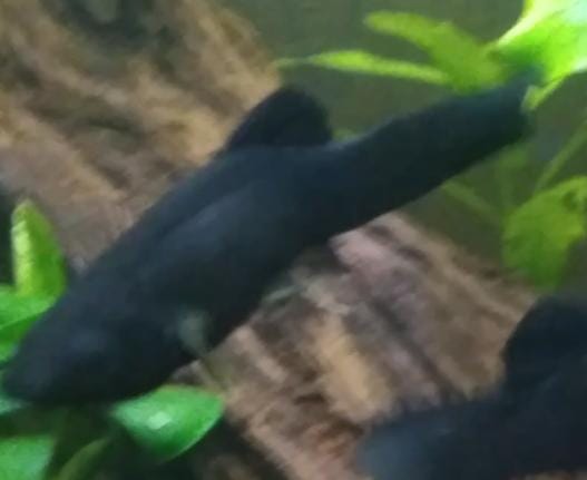 WhatsApp Image 2021-12-09 at 17.35.27.jpeg