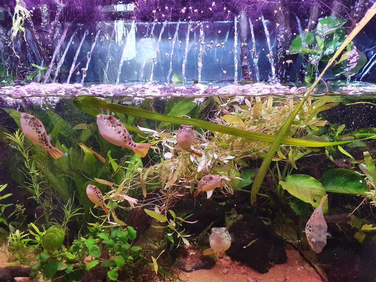 WhatsApp Image 2022-02-22 at 08.19.50.jpeg