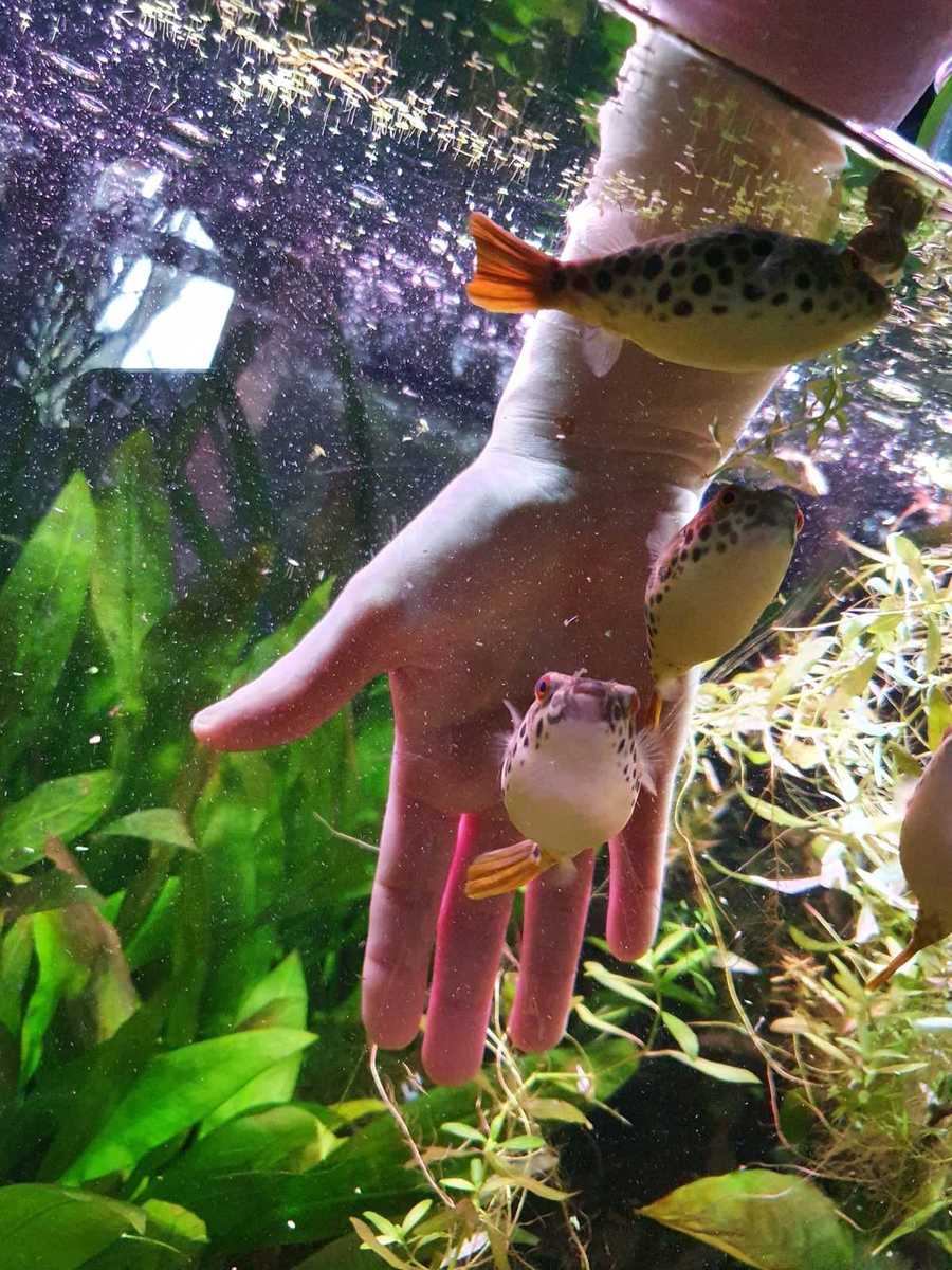 WhatsApp Image 2022-02-24 at 14.43.51.jpeg