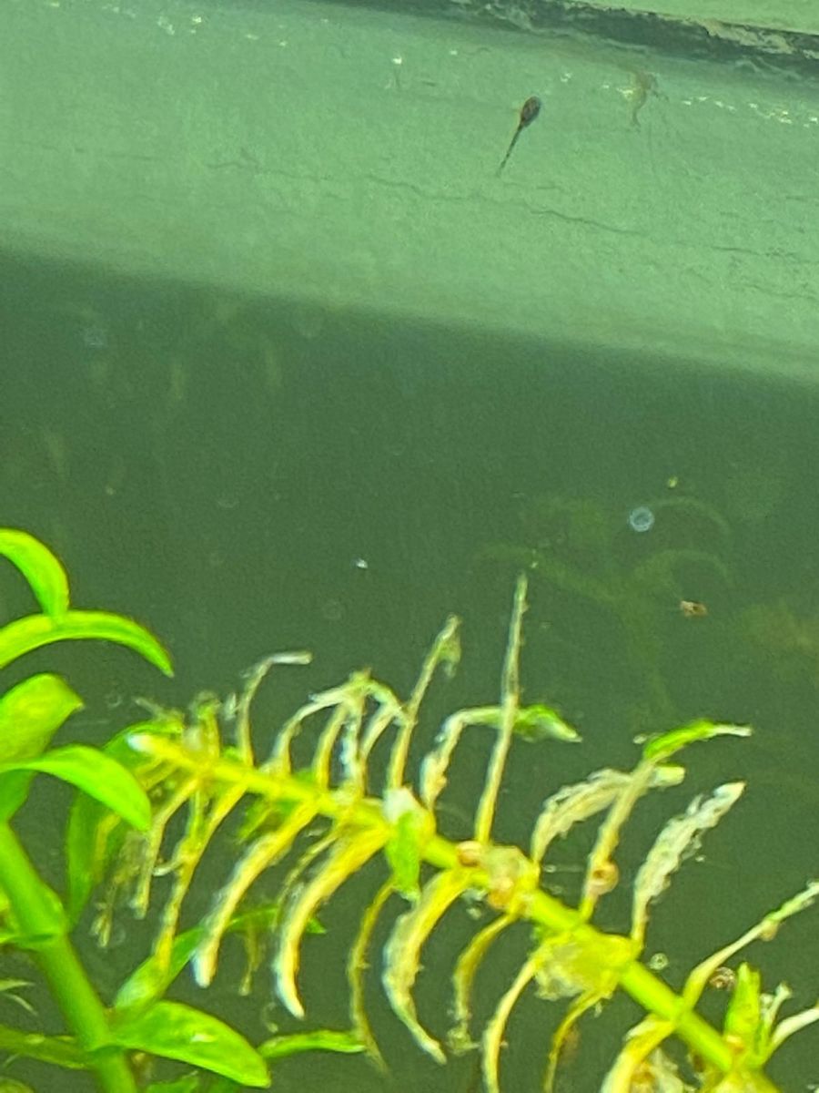 WhatsApp Image 2022-05-19 at 2.11.04 PM.jpeg