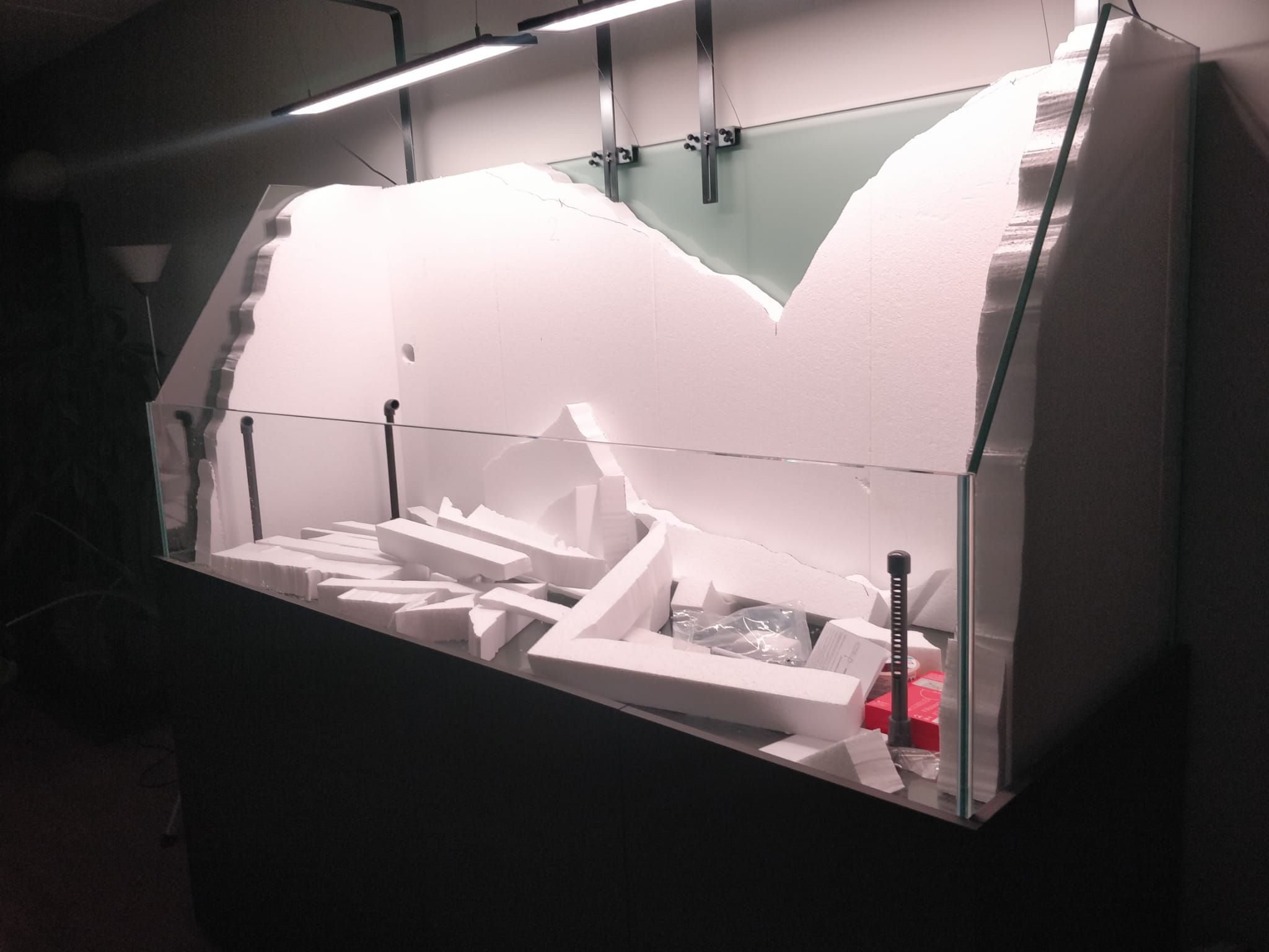 WhatsApp Image 2024-12-13 at 10.23.44.jpeg