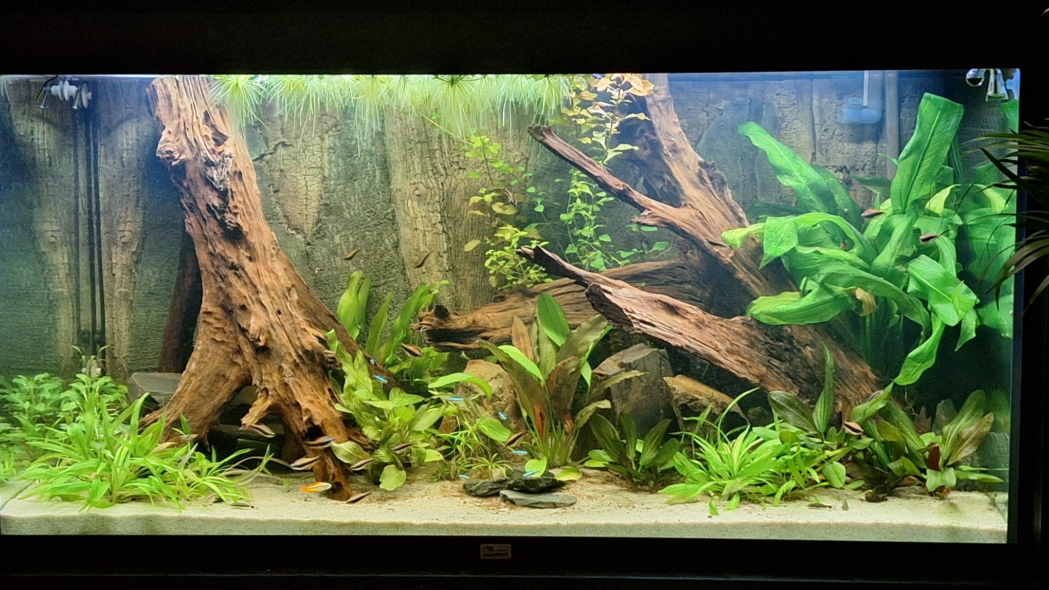 WhatsApp Image 2025-12-27 at 17.16.30.jpeg