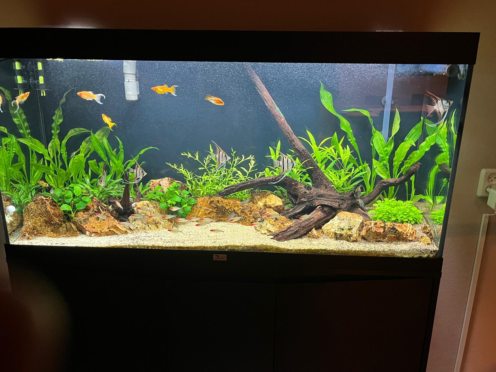 WhatsApp Image 2026-01-20 at 09.09.14.jpeg