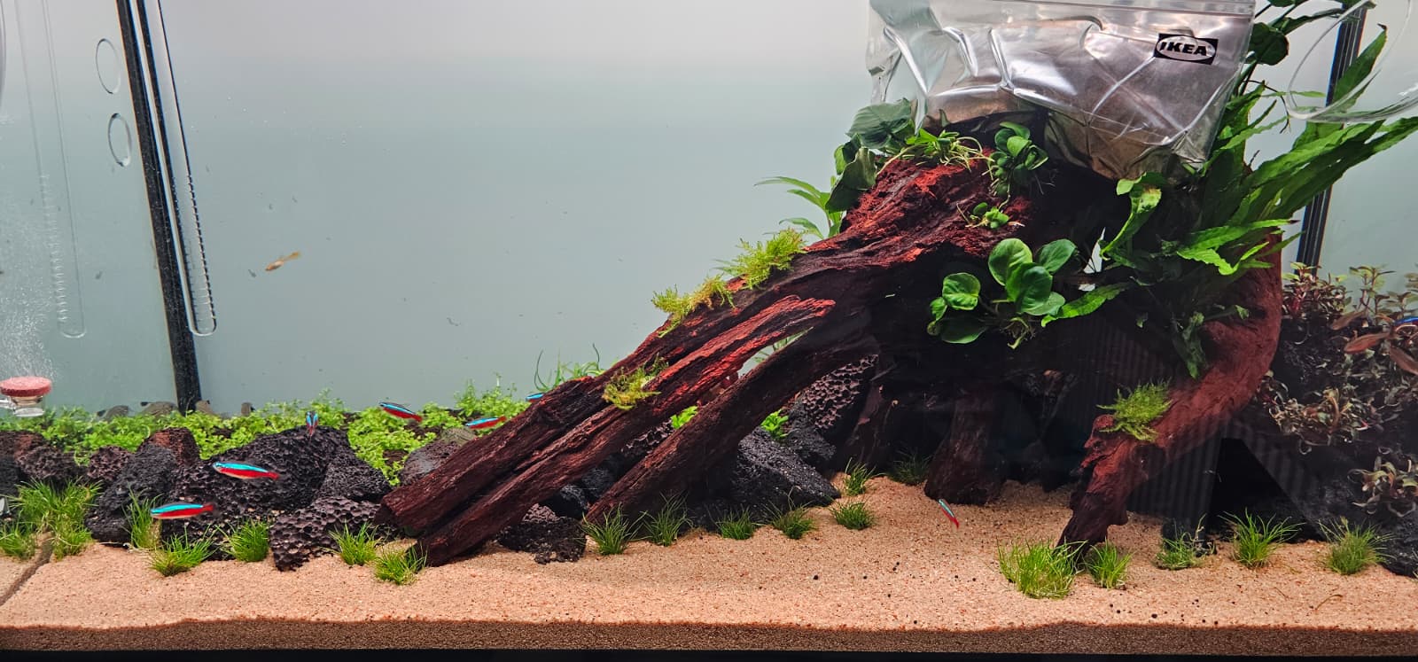 WhatsApp Image 2026-02-10 at 18.15.11.jpeg