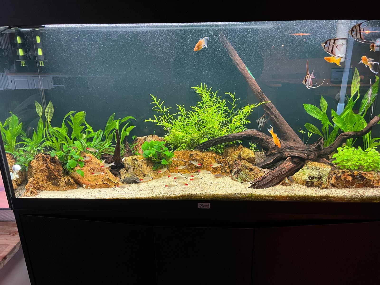 WhatsApp Image 2026-02-20 at 16.40.41.jpeg