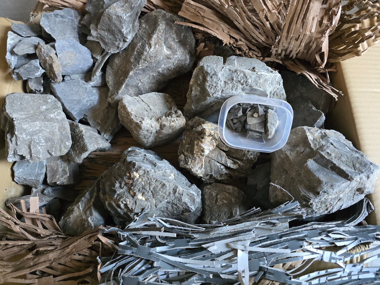 WhatsApp Image 2026-03-05 at 12.50.13.jpeg