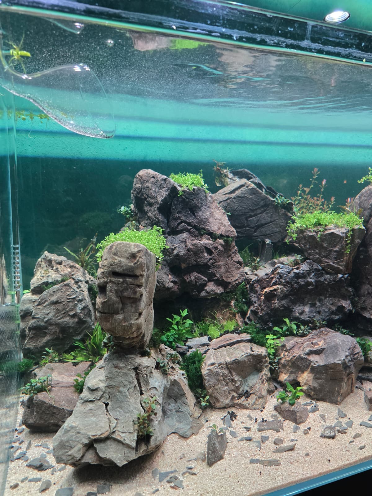 WhatsApp Image 2026-03-27 at 09.16.58(1).jpeg