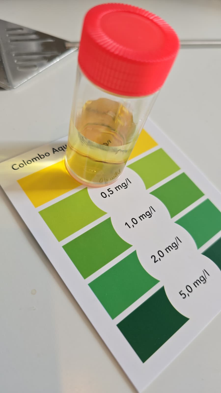 WhatsApp Image 2026-03-30 at 11.10.16.jpeg