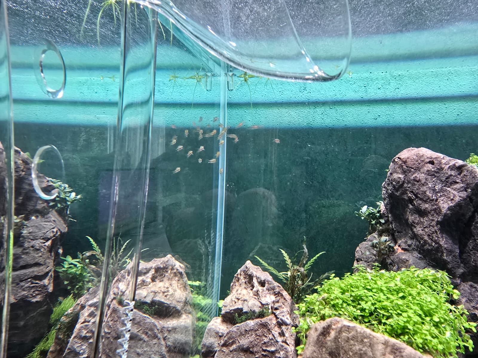 WhatsApp Image 2026-03-31 at 17.15.40(1).jpeg