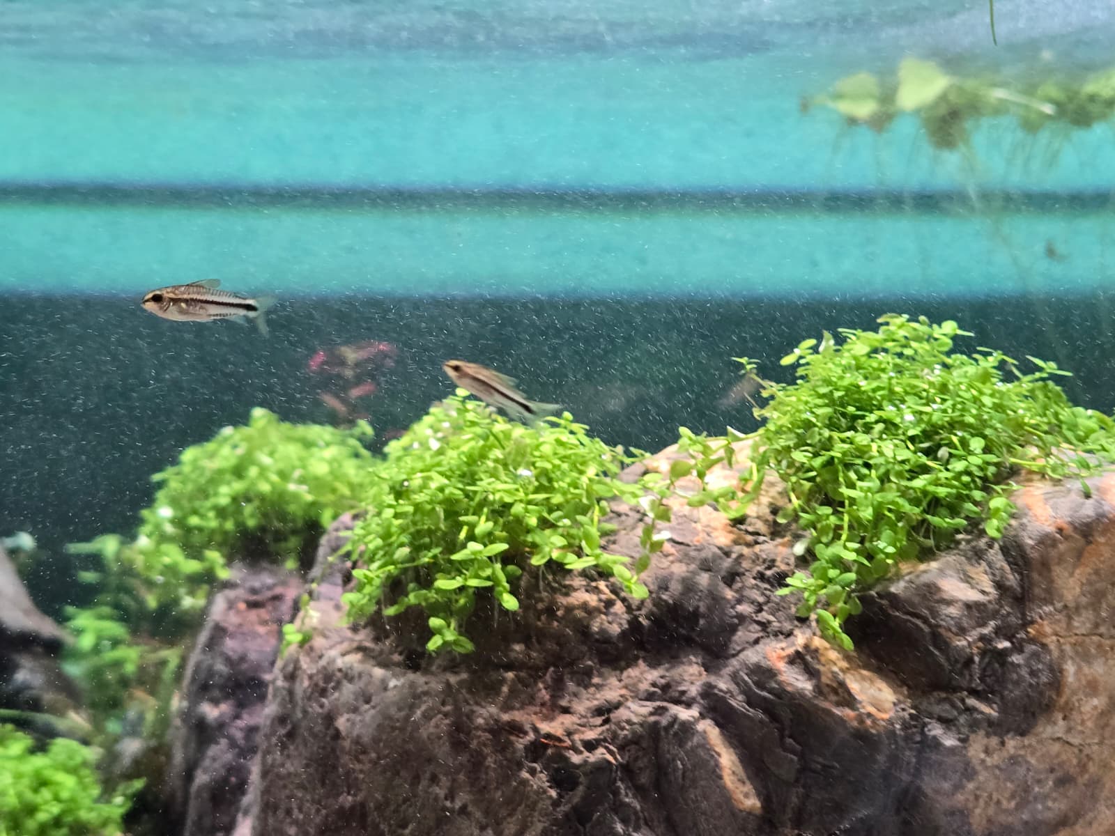 WhatsApp Image 2026-03-31 at 17.15.40.jpeg