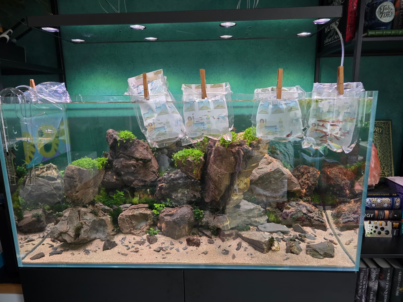 WhatsApp Image 2026-04-02 at 12.39.41.jpeg