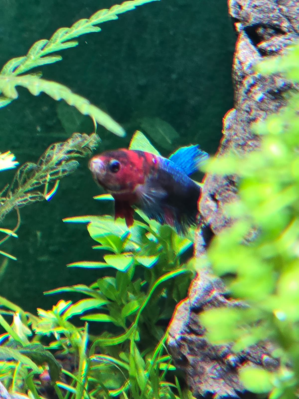 WhatsApp Image 2026-04-09 at 19.23.24.jpeg