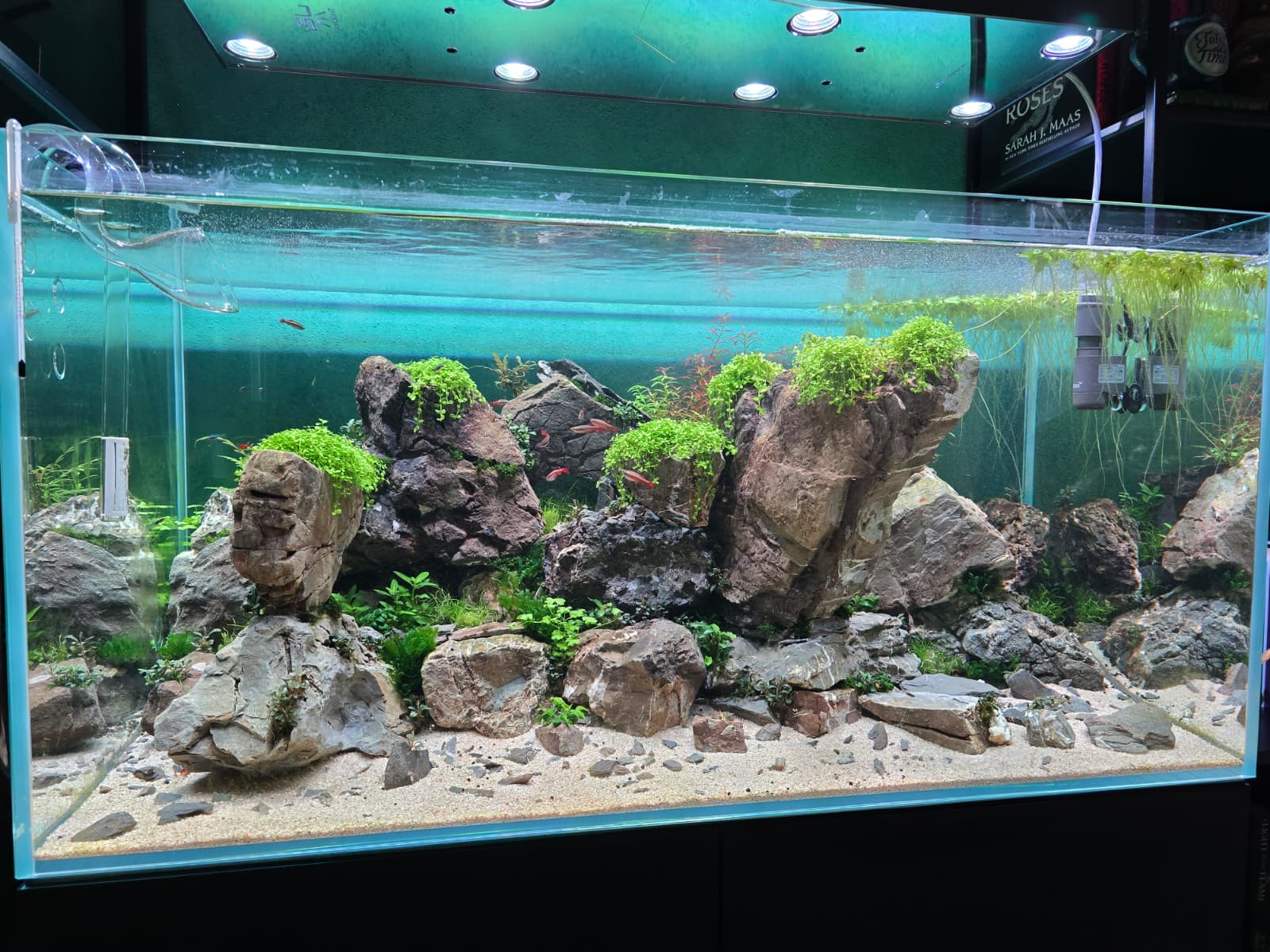 WhatsApp Image 2026-04-09 at 19.23.25(3).jpeg