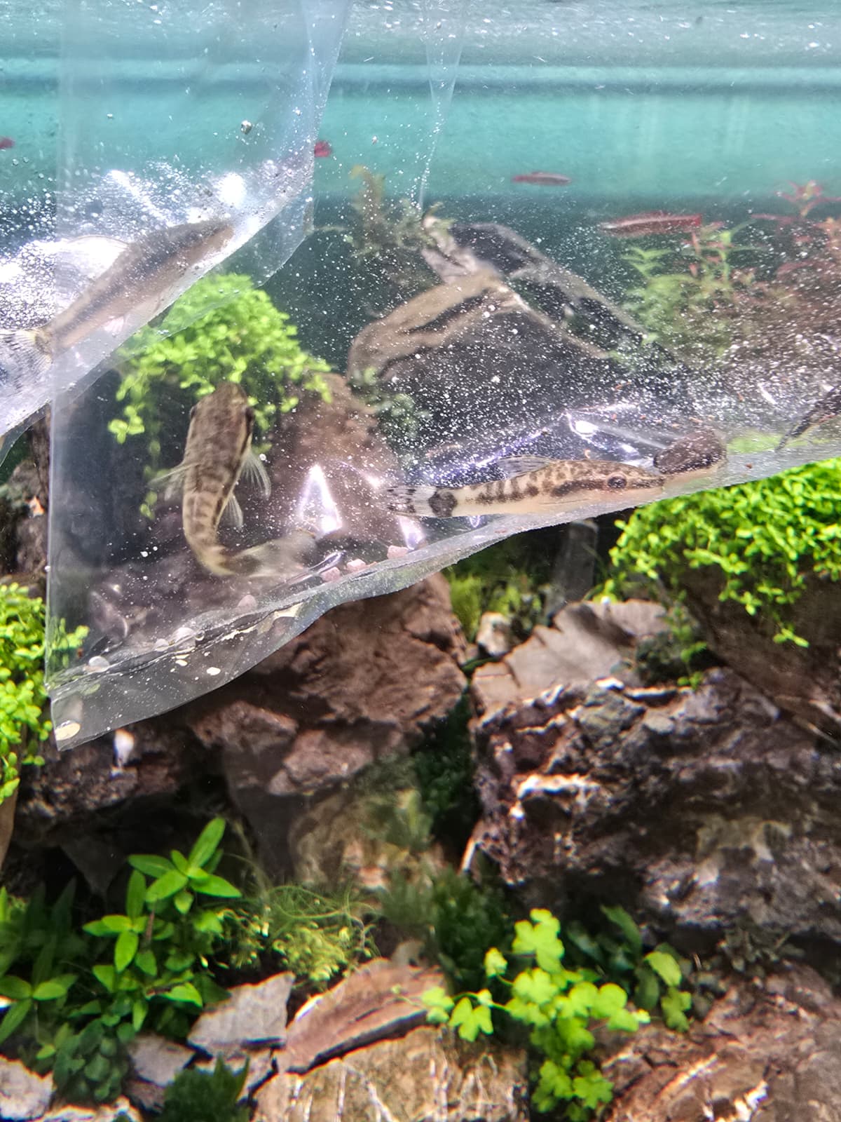 WhatsApp Image 2026-04-11 at 19.59.33(2).jpeg